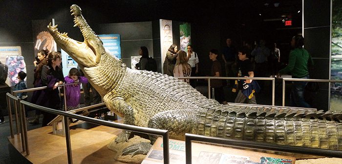 世界で最も魅力的”な生き物、クロコダイル展がオープン - ニューヨーク