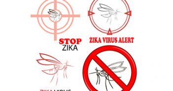 Zika Virus Sign Isolated on White Background
