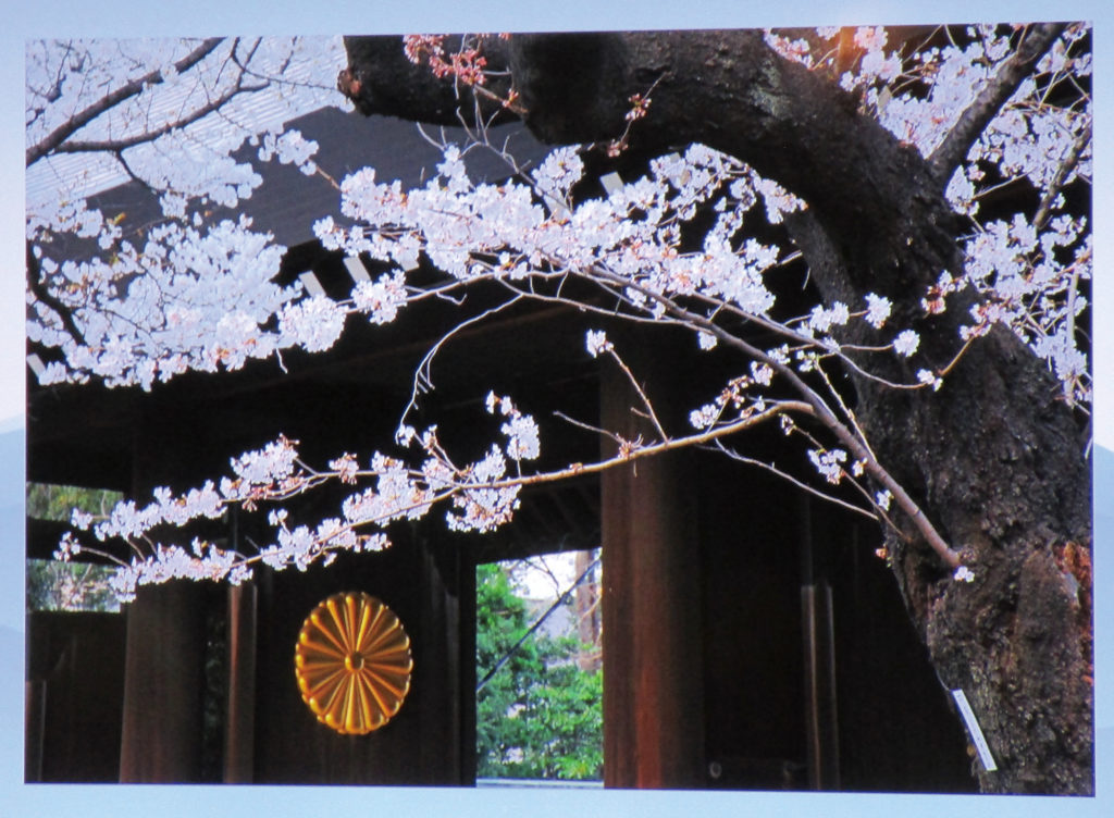 四季折々の「靖国神社」を多数の写真で紹介