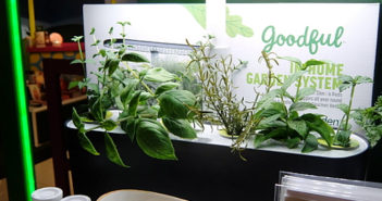 「ハーベスト・スリム・カウンタートップ・ガーデン＆グルメ・ハーブ・シード・キット（Harvest Slim Countertop Garden & Gourmet Herbs Seed Kit）」