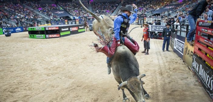 暴れ雄牛の迫力満点、「プロフェッショナル・ブル・ライダーズ