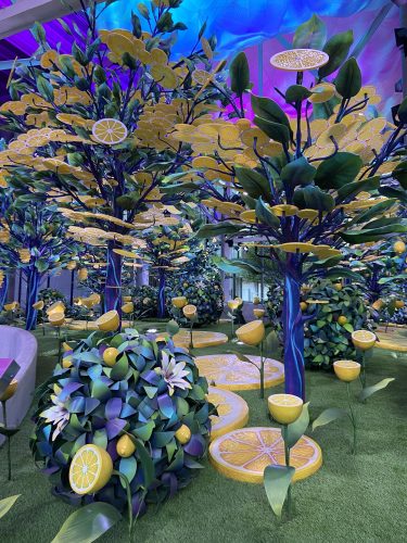 「Citrovia」の中でも一際目立つ高さ５メートルを超えるレモンの木と、その周りを囲むさまざまな形状と大きさのレモン