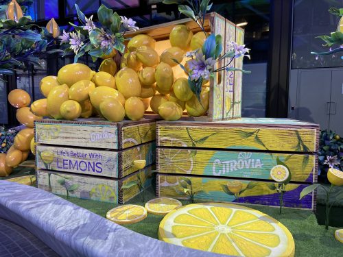 ヴィンテージ感のある木箱の上や中にゴロゴロと並ぶ立派な大きなレモン