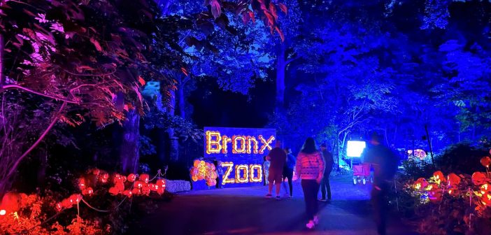2023-Bronx-Zoo-Pumpkin-Nights-