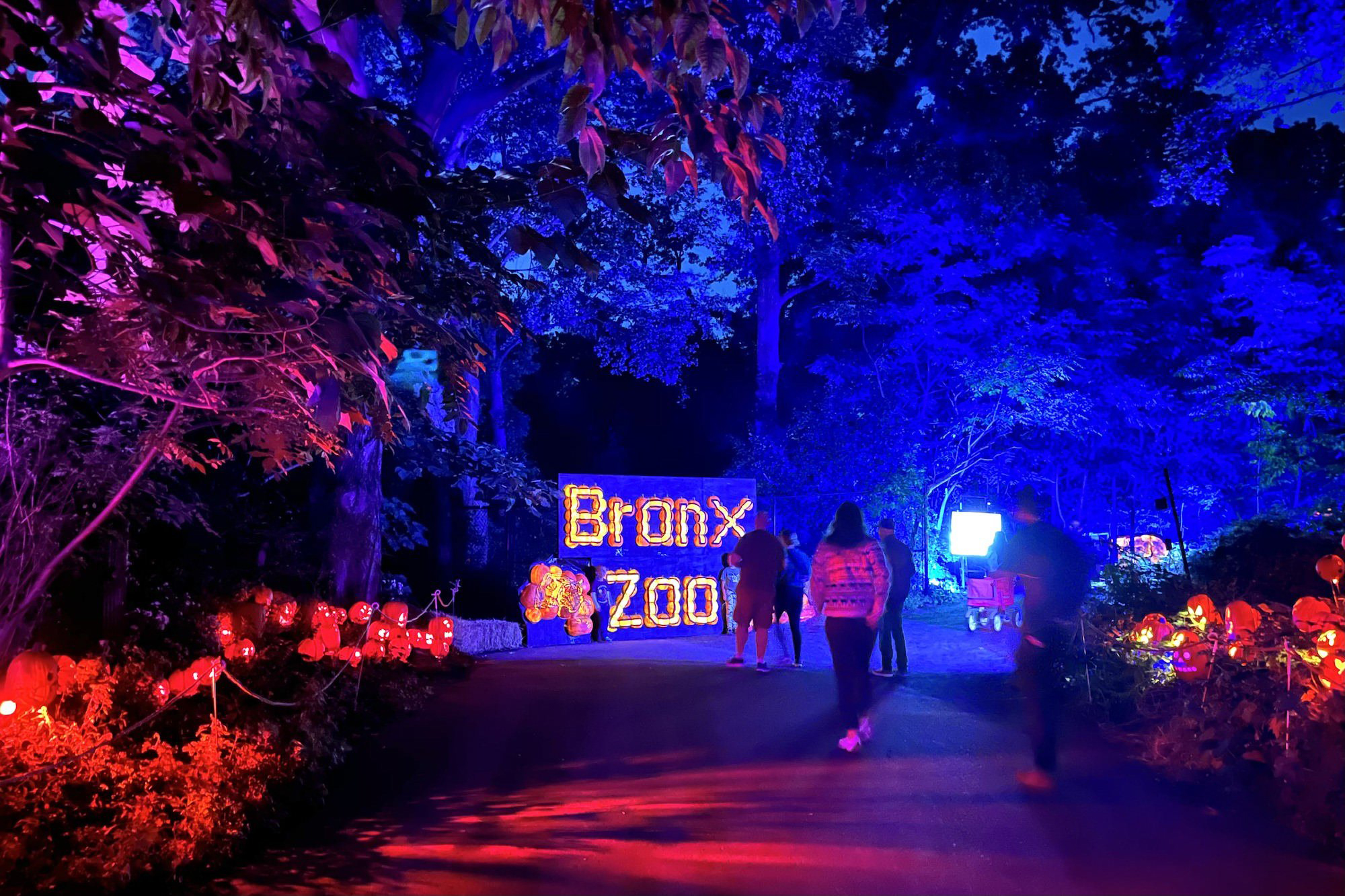 〜10月29日 ブロンクス動物園のパンプキンナイト Pumpkin Nights at the Bronx Zoo - ニューヨークビズ！