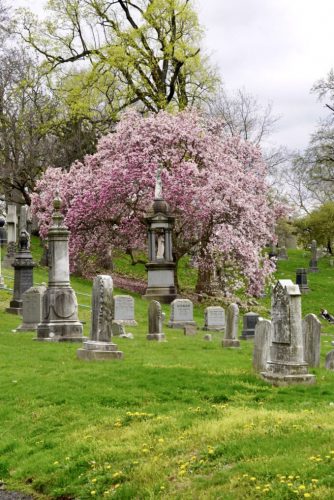 2. Green-Wood Cemetery - ニューヨークビズ！