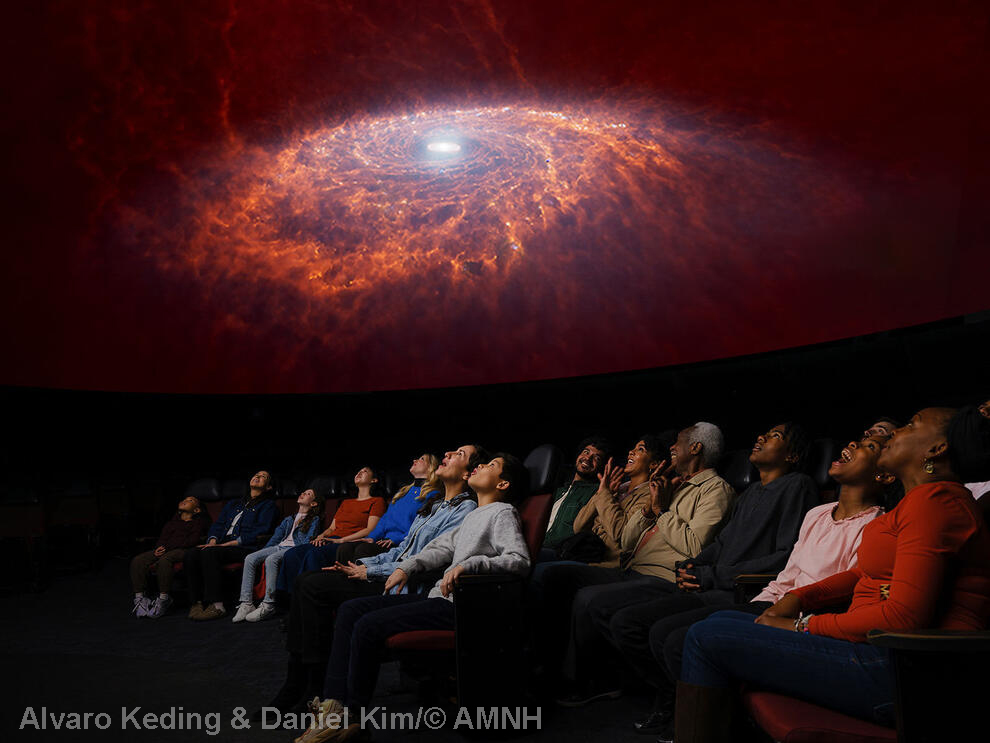 Alvaro Keding & Daniel Kim/© AMNH