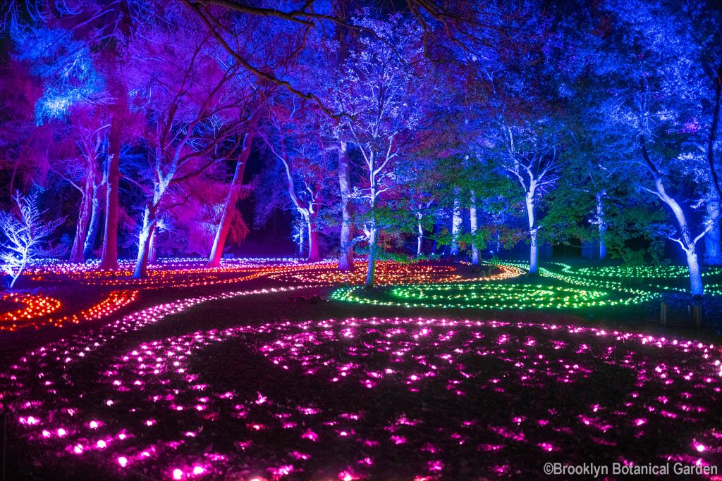 Lightscape at Brooklyn Botanical Garden ©Brooklyn Botanical Garden