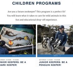 子どもだけで「動物園の飼育員」に挑戦