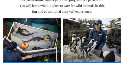 子どもだけで「動物園の飼育員」に挑戦